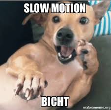 slow motion bicht - | Make a Meme via Relatably.com