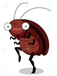 Image result for cockroach