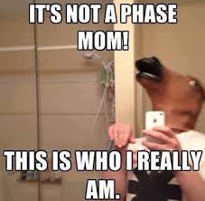 Image - 580819] | Horse Head Mask | Know Your Meme via Relatably.com