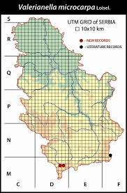 Distribution of Valerianella microcarpa in Serbia. | Download ...