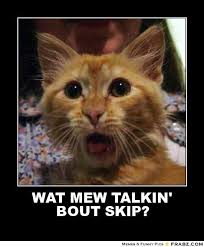 WAT MEW TALKIN&#39; BOUT SKIP?... - Shocked cat Meme Generator Posterizer via Relatably.com