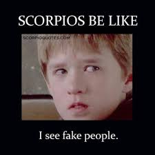 13 &quot;Scorpios Be Like&quot; Meme | Scorpio Memes: Scorpios Be Like: I ... via Relatably.com