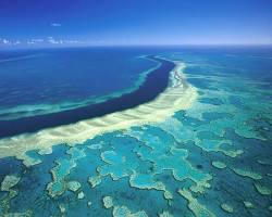 Büyük Set Resifi, Avustralya resmi