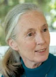Weltbekannte Schimpansenforscherin, Begründerin des <b>Jane Goodall</b> Instituts <b>...</b> - sri-chinmoy-goodall
