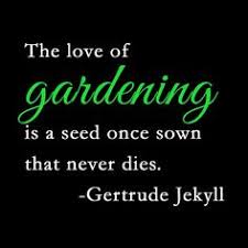 My Garden on Pinterest | Gardening Quotes, Gardening and Garden Quotes via Relatably.com
