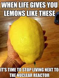 36-when-life-gives-you-lemons-like-these-meme | PMSLweb via Relatably.com