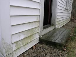 Image result for black mold on exterior house