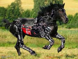 Image result for robot animals