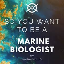 So You Want to Be a Marine Biologist