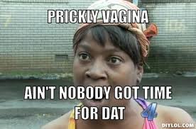 DIYLOL - Prickly vagina Ain&#39;t nobody got time for dat via Relatably.com