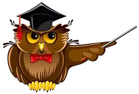 Image result for owl clip art