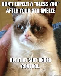 Don&#39;t expect a &quot;Bless you&quot; after your 5th sneeze Get that shit ... via Relatably.com