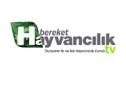 Bereket Hayvancılık TV logosu resmi