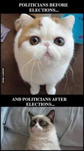 Le meme central on Pinterest | Grumpy Cat, Meme and Car Memes via Relatably.com