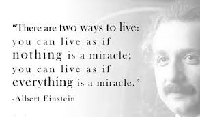 Albert Einstein Quotes Imagination is Everything images | Albert ... via Relatably.com