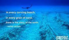 Ocean Quotes on Pinterest | The Ocean, Ocean and Jacques Cousteau via Relatably.com