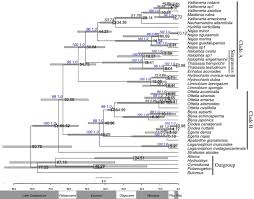 Generic phylogeny, historical biogeography and character evolution ...