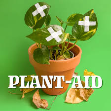 Plant-Aid with Planto Momma