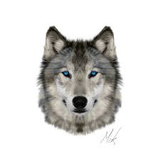 Resultado de imagen de wolf