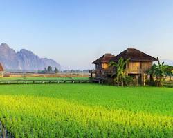 Visiting a rice farm in Vang Vieng, Laos