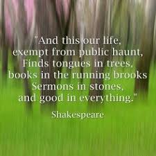 As You Like It on Pinterest | Shakespeare Love Quotes, Forests and ... via Relatably.com