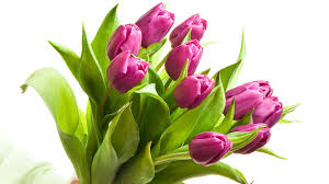 Картинки по запросу красивые цветы к 8 марта фото