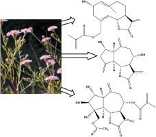 Secondary metabolites from the aerial parts of Centaurea pannonica ...