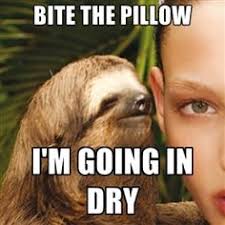 Sloth memes..lol on Pinterest | Sloth Memes, Sloths and Creepy Sloth via Relatably.com