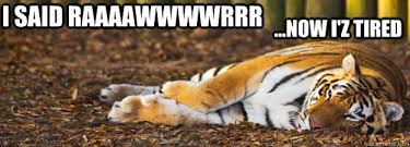 I said RAAAAWWWWRRR ...Now I&#39;z tired - Tiger sleeping meme - quickmeme via Relatably.com