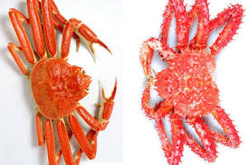 What's the Difference Between Snow Crab and King Crab?