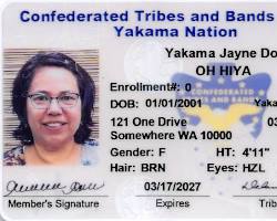 Image of tribal ID card
