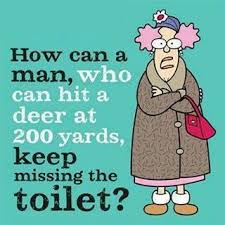 Image result for toilet winter humor