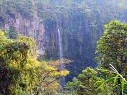 Image result for AIR TERJUN KALI PANCUR