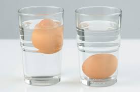 Testing Eggs for Freshness and Safety