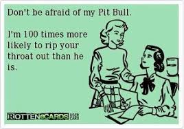 Are pitbull memes doing more harm than good? | Thatmutt.com via Relatably.com