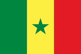 Resultado de imagen de bandera senegalesa