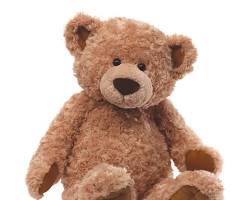 Image of Gund teddy bear