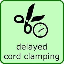 Image result for delayed cord clamping