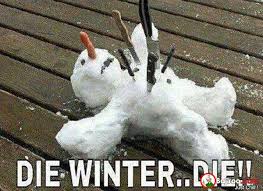 die-winter-funny-meme-pics – Bajiroo.com via Relatably.com