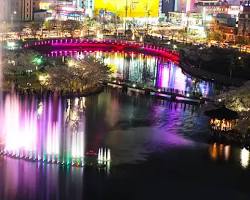 광주 서구 운천저수지 벚꽃 야경, AI로 생성