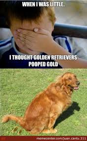 Funny Golden Retriever Memes (10) - Funny Images and Funny Pictures via Relatably.com