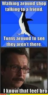 Socially Awkward Penguin Memes on Pinterest | Penguin Meme ... via Relatably.com