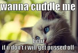 cuddly kitten - quickmeme via Relatably.com