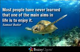 Samuel Butler Quotes - BrainyQuote via Relatably.com