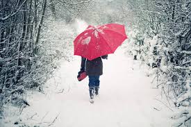 Image result for snow photos