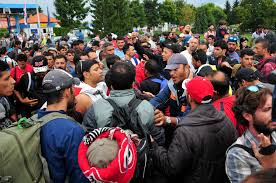 Image result for Refugees Stuck At The Croatian Border With Slovenia