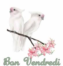 Résultat de recherche d'images pour "gif bon vendredi humour"