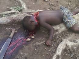 Image result for Boko haram atrocities