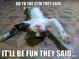 gym memes on Pinterest | Gym Humor, Legs Day and Gym via Relatably.com