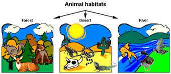 Resultado de imagen de habitats
